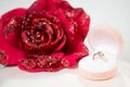 Engagement gold ring and a rose Royalty Free Stock Photo