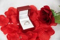 Engagement proposal with a ring a rose and red petals Royalty Free Stock Photo