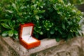 An engagement ring with a blue gem in a box against a background of green boxwood in an outdoor flower pot made of stone Royalty Free Stock Photo
