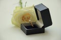 Engagement ring in box Royalty Free Stock Photo