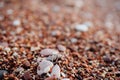 An engagement ring on brown decorative stones on a blurred background.