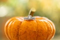 An engagement ring detail shot on an orange pumpkin.