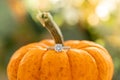 A engagement ring detail shot on an orange pumpkin.