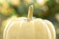 A engagement ring detail shot on a white pumpkin.