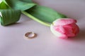 Engagement ring with pink tulip on the pink background Royalty Free Stock Photo