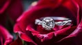 An engagement ring on red rose bouquet, marriage proposal and wedding anniversary concept, romantic valentine s day background. Royalty Free Stock Photo
