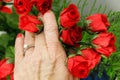 engagement ring, among red roses, romantic, love, compassion, commitment