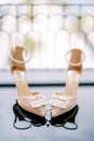 Engagement ring stands between the toes of the bride golden high-heeled shoes on the mirror floor Royalty Free Stock Photo