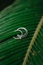 Engagement and wedding rings on palm fern leaf Royalty Free Stock Photo