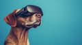 Engaging image of a dog sporting virtual reality glasses with ample space for text and graphics