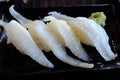 Engawa sushi with the all sushi and sashimi Royalty Free Stock Photo