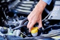 Car detailing series : Cleaning car engine. Close-up engine Royalty Free Stock Photo