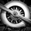 Engine of an old war plane Royalty Free Stock Photo