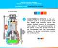 Piston engine four stroke cycle in structural cross section for education