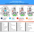 Piston petrol engine, structural cross section and four stroke combustion cycle