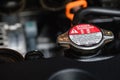 Engine radiator cap with warning labels