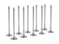 Engine Valves on white Royalty Free Stock Photo