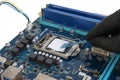 Engineer applies thermal paste to a processor installed in a socket on a printed circuit board Royalty Free Stock Photo