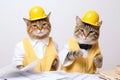 Engineer Cat, Kitty Builders, Pet Architectures