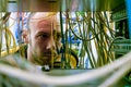 The engineer is looking at a lot of wires entangled in the rack server room. The guy works with switching Internet equipment Royalty Free Stock Photo
