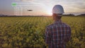 Engineer using an Agritech drone to scan agricultural fields. 2D graphics