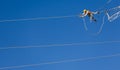 Engineer worker on energy wire