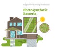 Photosynthetic Bacteria - Engineered Living Material Royalty Free Stock Photo