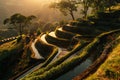 Engineered waterways feeding terraced gardens, ancient marvel, golden hour light, side view, historic detail