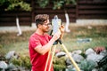 Engineering equipment with theodolite and total station in a garden at a construction site