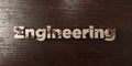 Engineering - grungy wooden headline on Maple - 3D rendered royalty free stock image