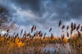 England,Branston Water Park 2021 Royalty Free Stock Photo