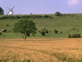 England, Buckinghamshire, windmill