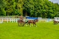 England Cartmel August 3rd 2016 Competitors take part in Scurry driving, an equestrian event