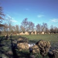 England, Cotswolds, ancient stone circle