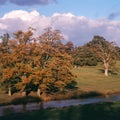 England, Cotswolds, Sherborne Valley autumn