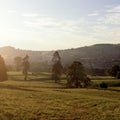 England, Gloucestershire, Cotswolds, Stroud, Evening sun
