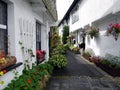 England: old lane with white cottages