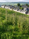 England: stone terrace houses with field Royalty Free Stock Photo