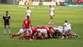 Rugby at Twickenham