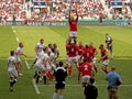 Rugby Union at Twickenham Royalty Free Stock Photo