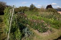 English Allotment