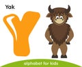 Yellow letter Y and brown Yak. Royalty Free Stock Photo