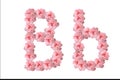 English alphabet from flowers of pink roses, letter B