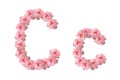 English alphabet from flowers of pink roses, letter C