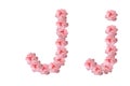 English alphabet from flowers of pink roses, letter J