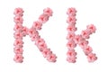 English alphabet from flowers of pink roses, letter K