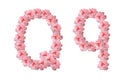 English alphabet from flowers of pink roses, letter Q