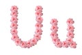 English alphabet from flowers of pink roses, letter U