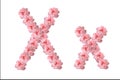 English alphabet from flowers of pink roses, letter X