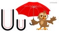 English alphabet picture letter for children. English language abc. Owl bird holds an umbrella Royalty Free Stock Photo